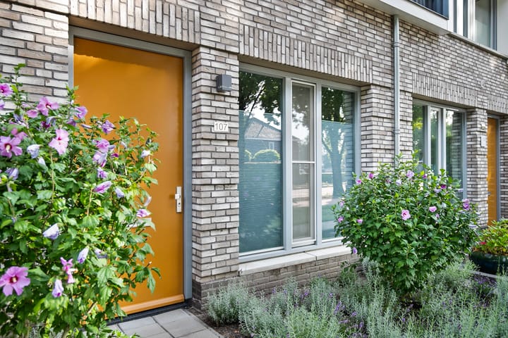 Foto 27 van Julie Postelsingel 107