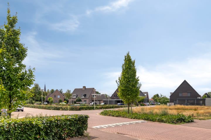 Photo 42 of Marjolein 1