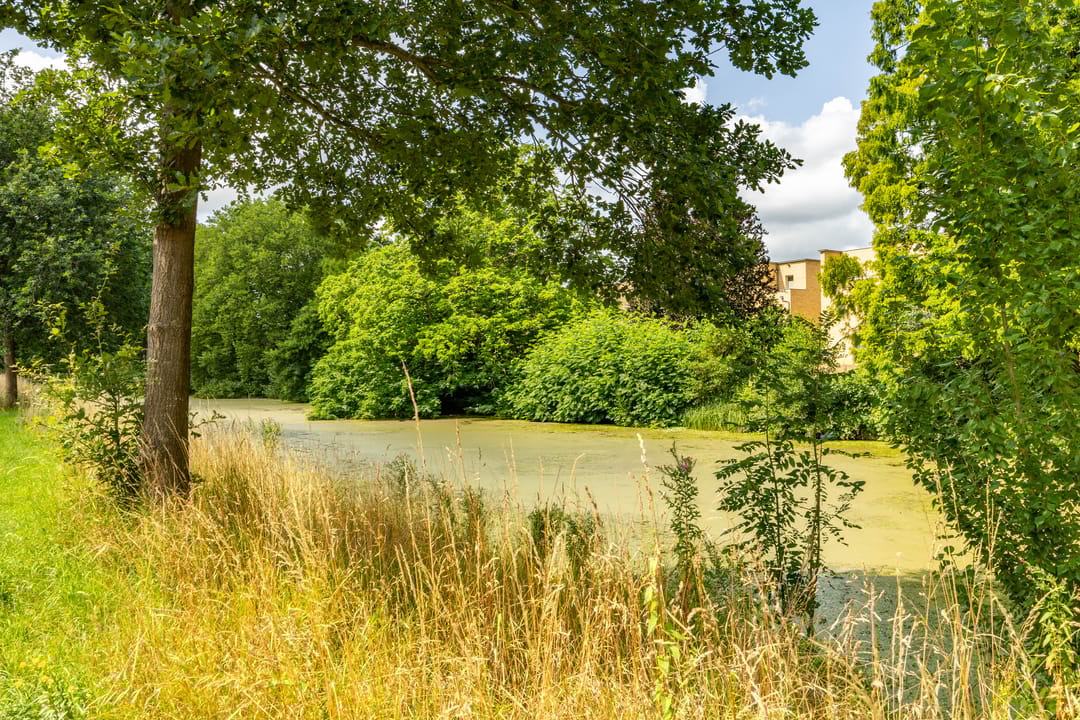 Foto 41 van Wagnersingel 14-A