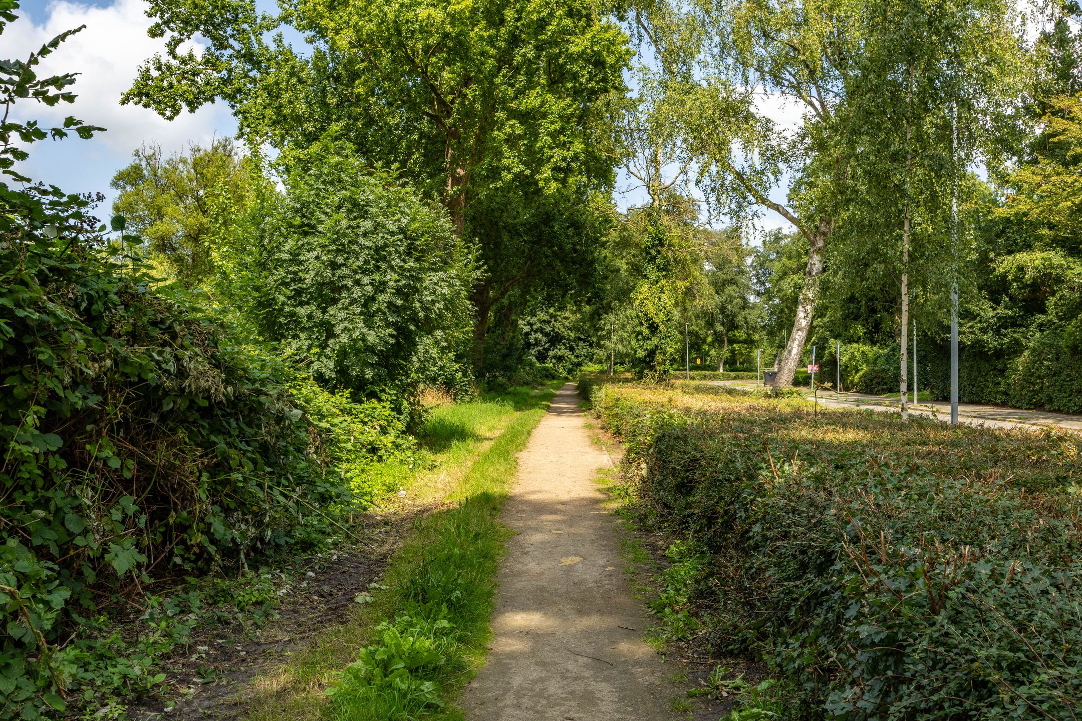 Foto 42 van Wagnersingel 14-A