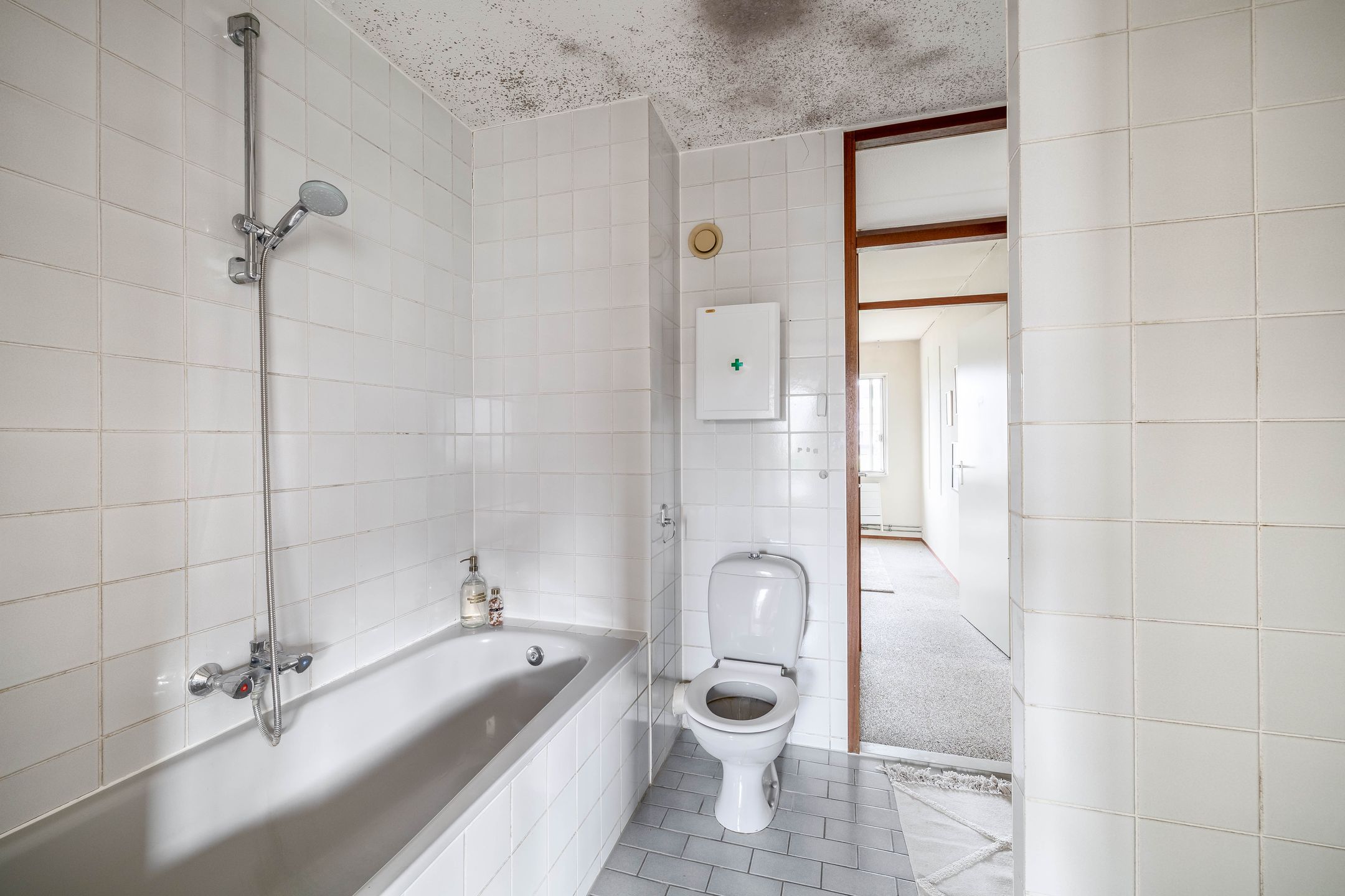 Photo 21 of Fanfarehof 22