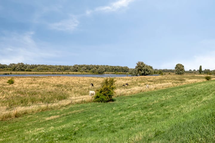 Foto 45 van Schout Bigotlaan 5