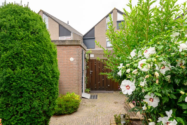 Foto 17 van Glanswit 17