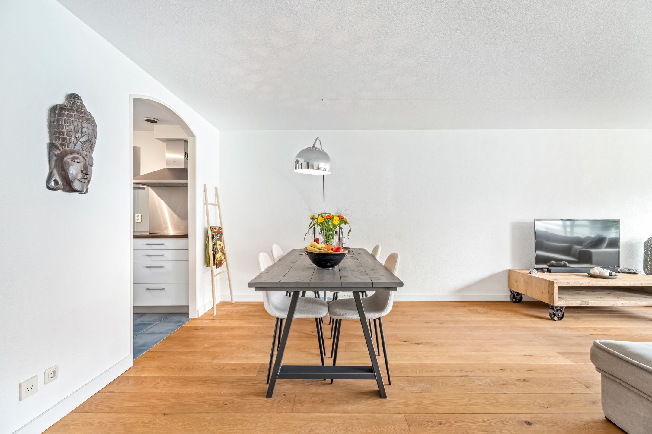 Foto 3 van Meerval 42