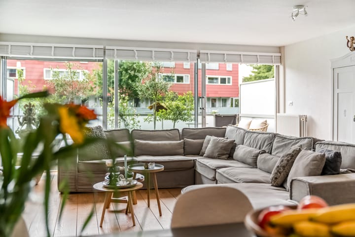 Foto 4 van Meerval 42