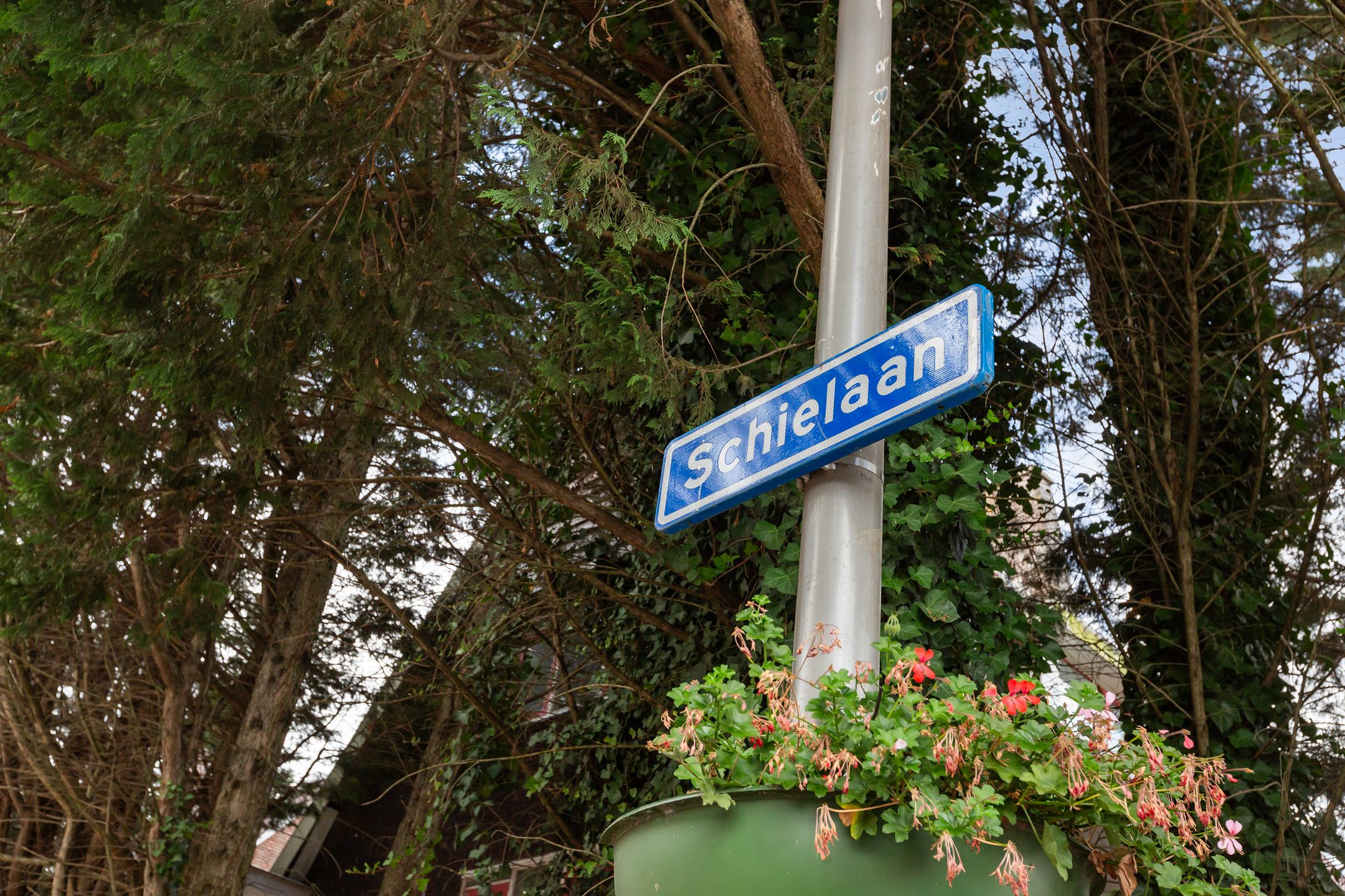 Foto 33 van Schielaan 62-A