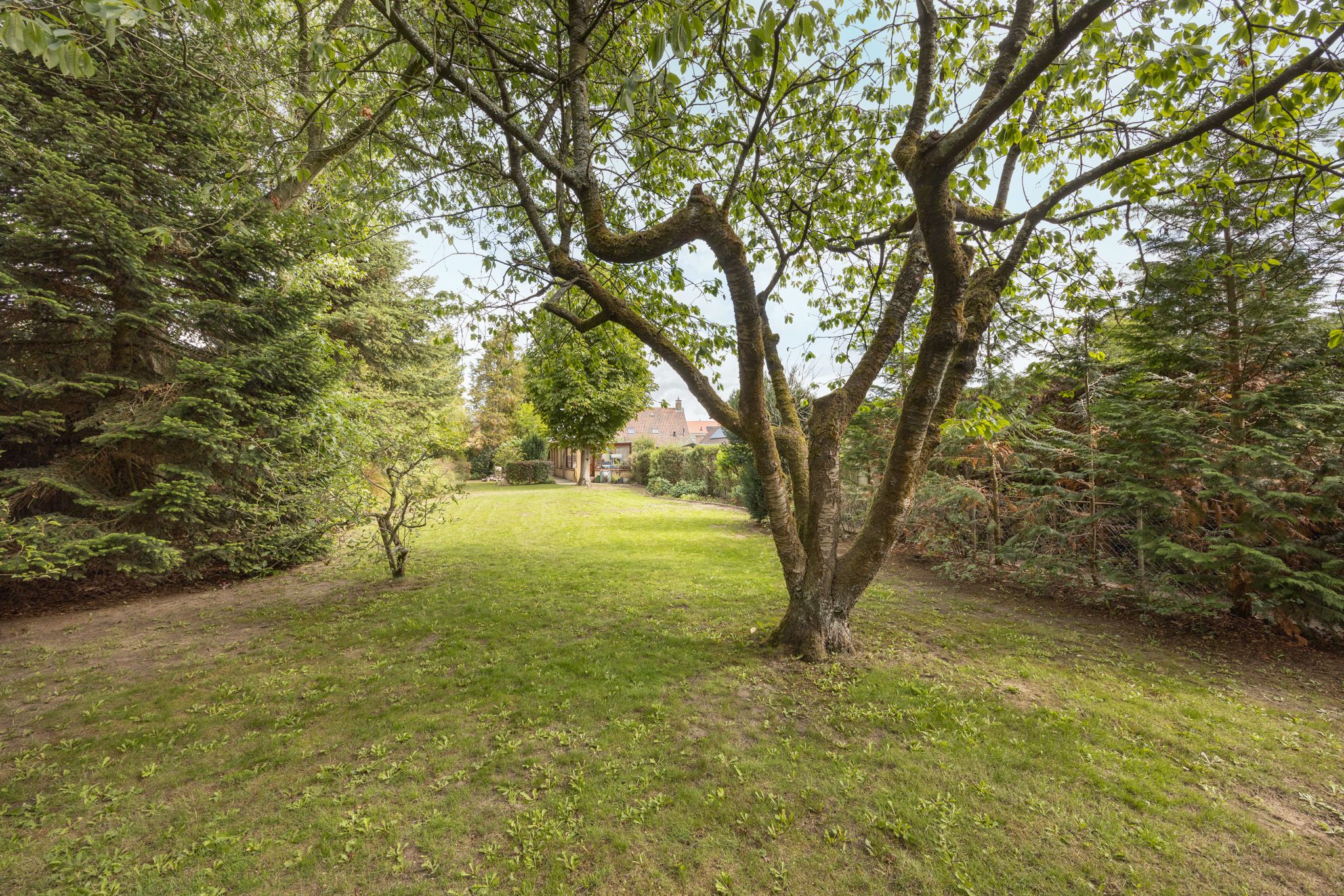 Foto 45 van Margrietstraat 13