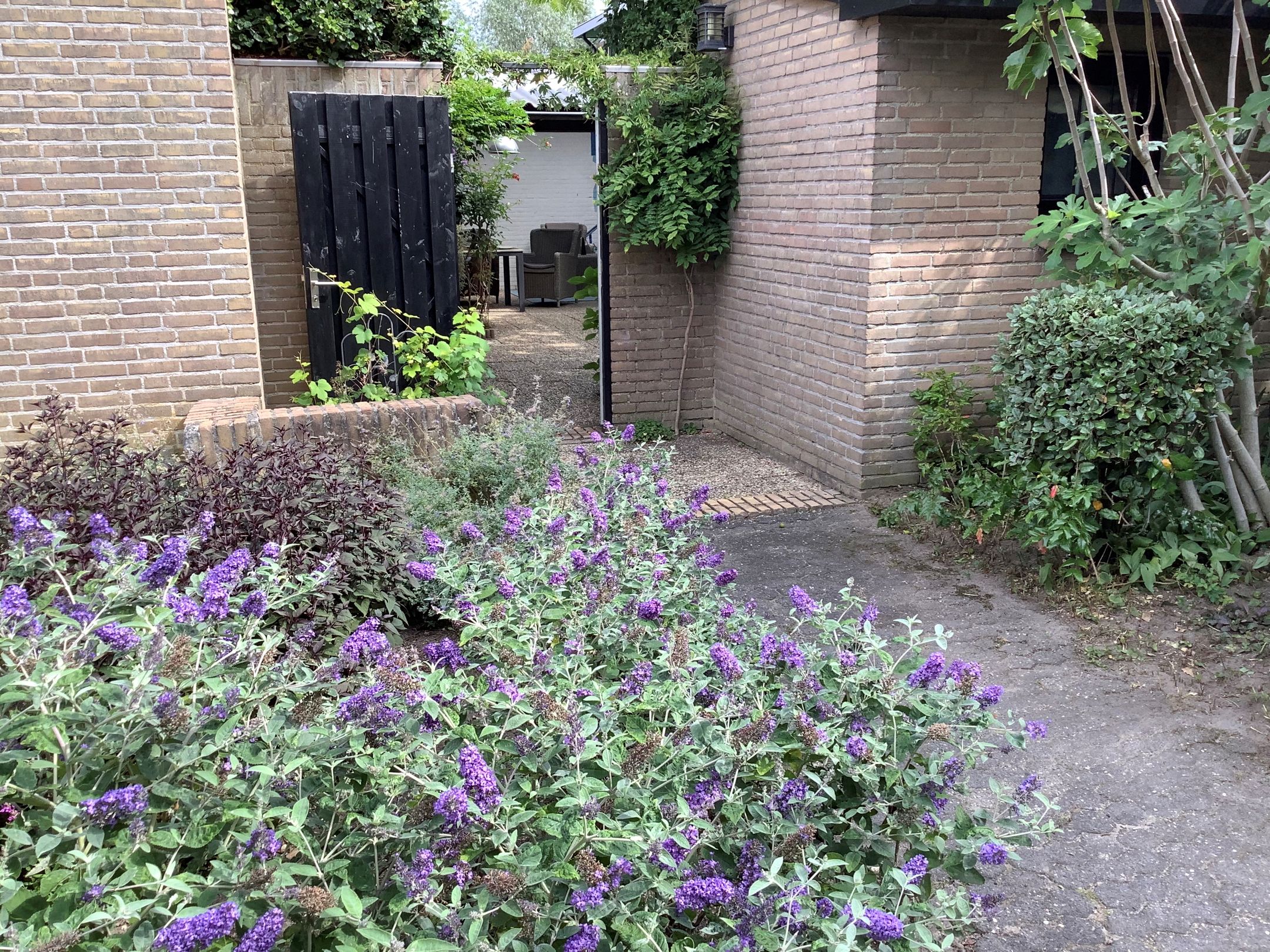 Foto 6 van Vlierlaan 228
