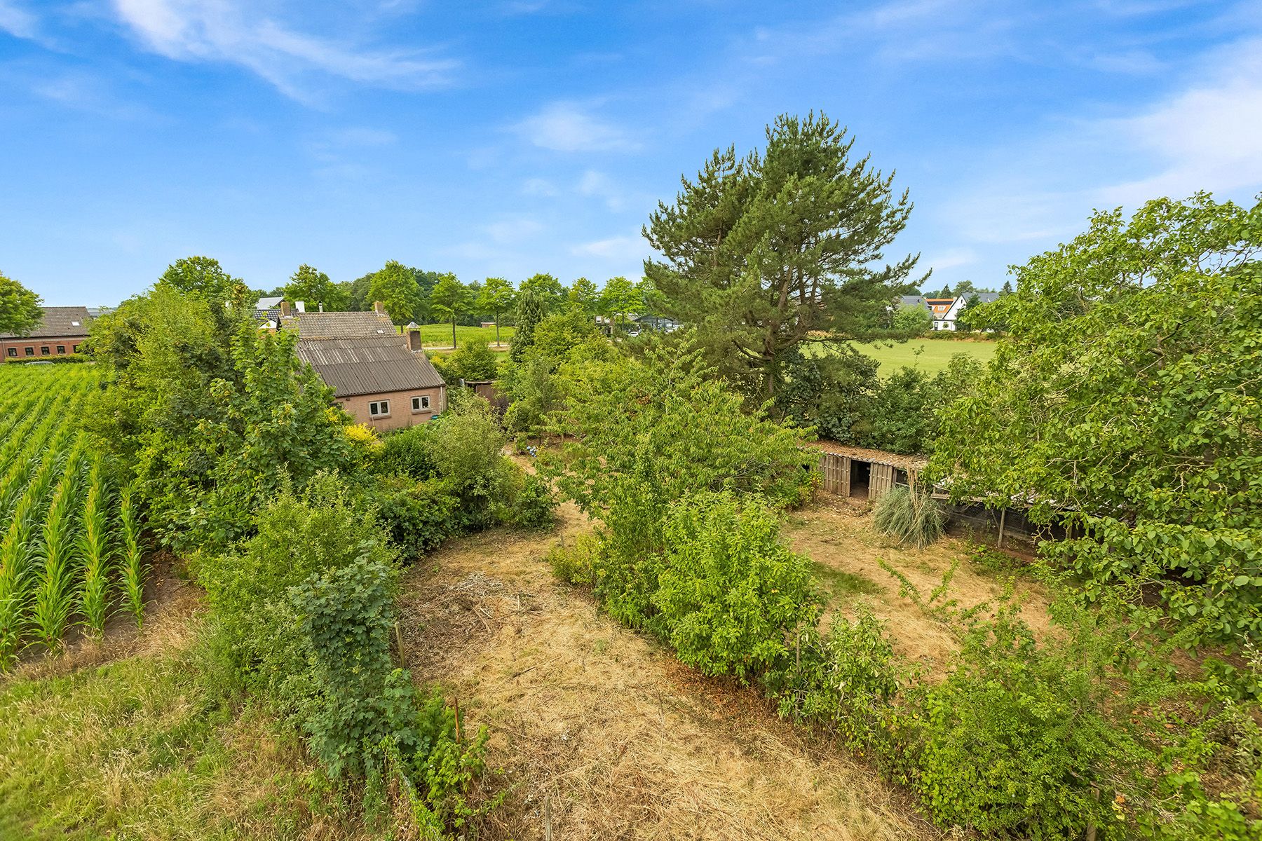 Foto 27 van Bartelbaan 2