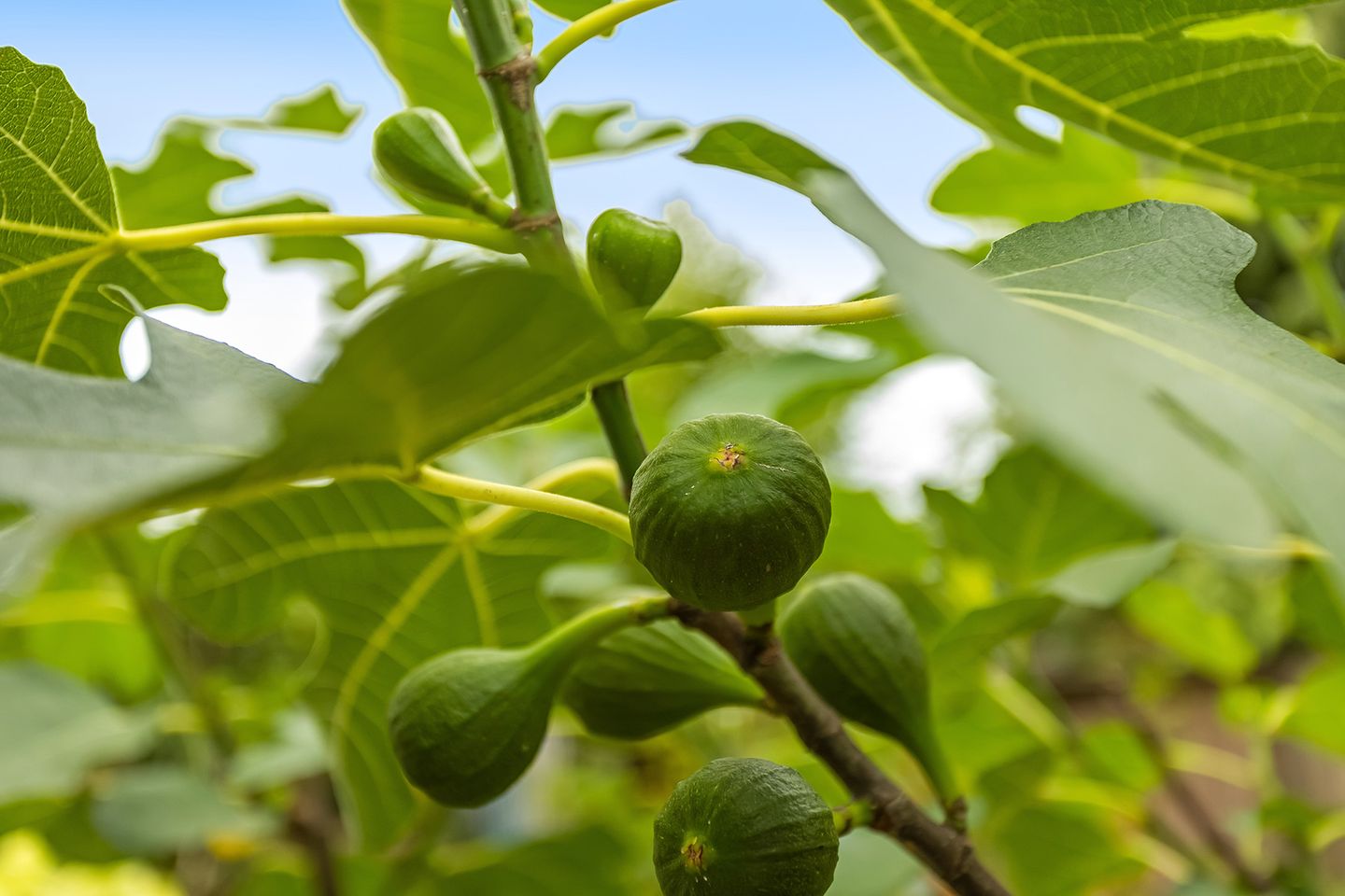 Foto 34 van Bartelbaan 2