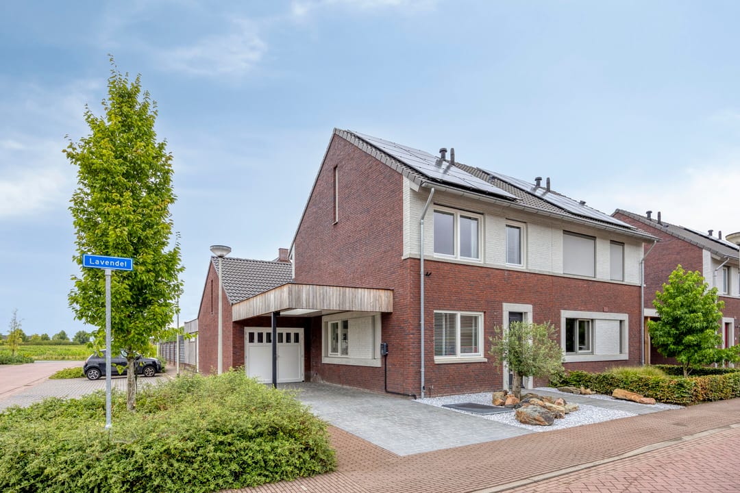 Foto 1 van Lavendel 1