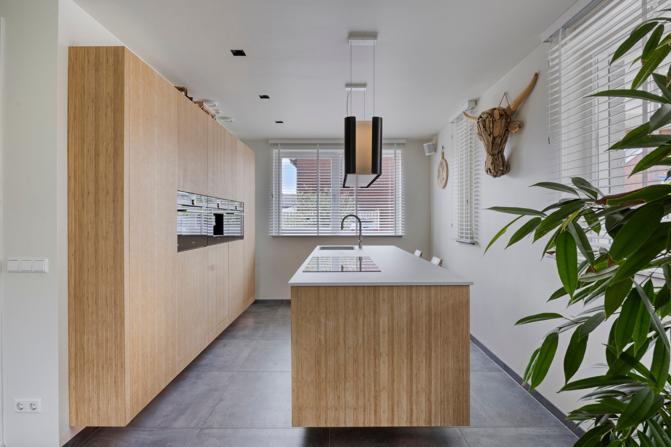 Foto 3 van Lavendel 1