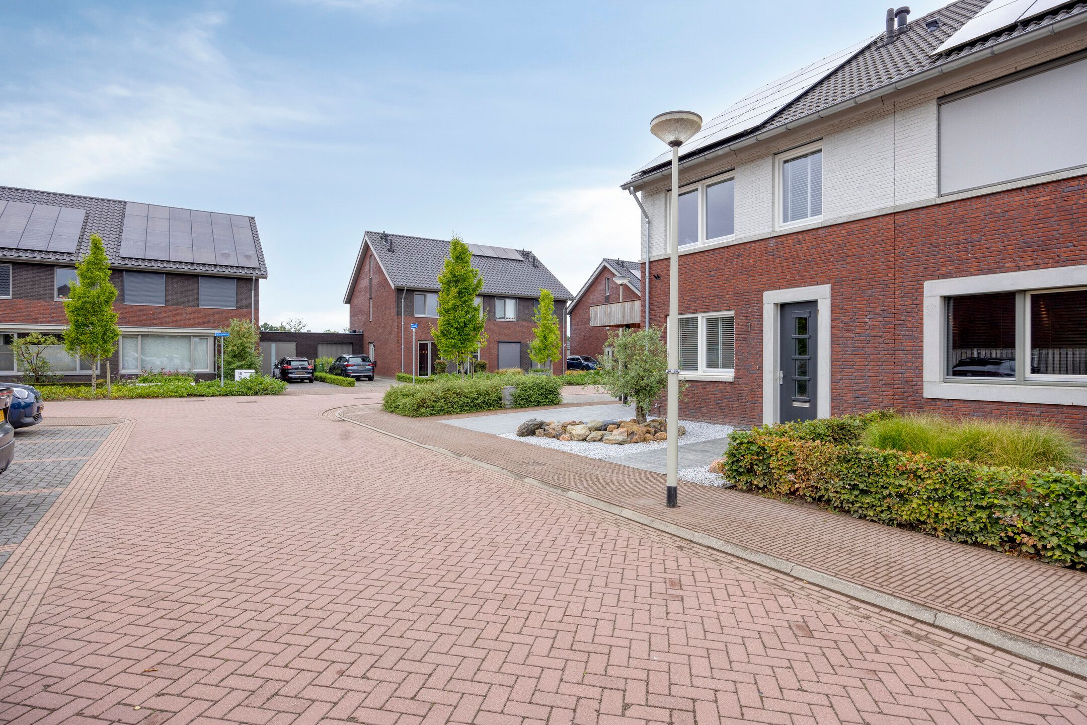 Foto 6 van Lavendel 1