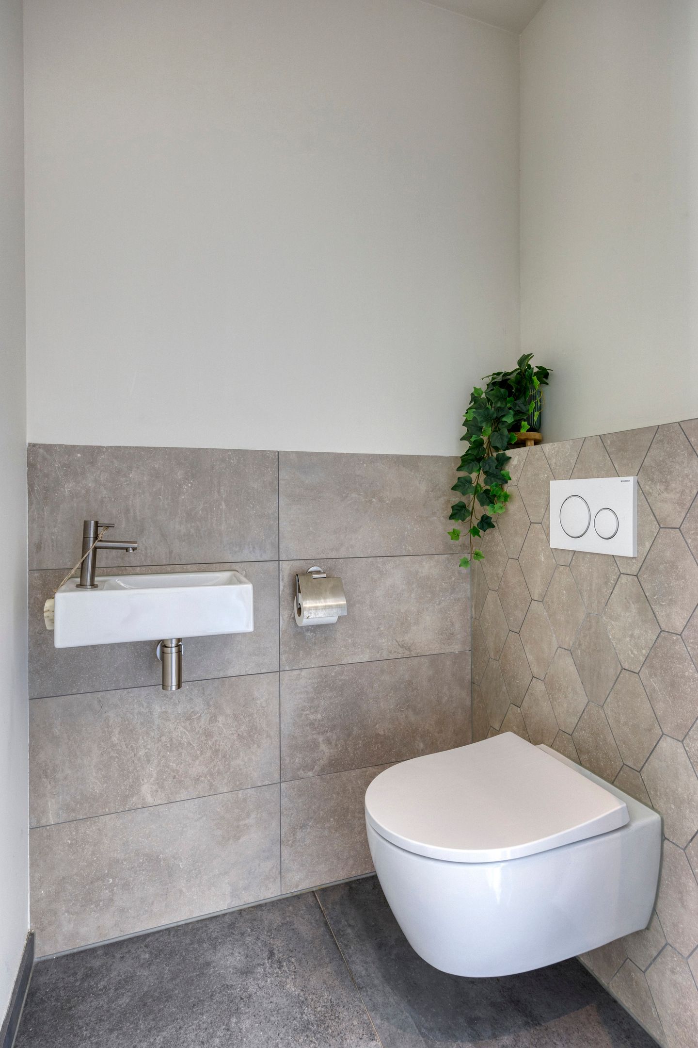 Foto 9 van Lavendel 1