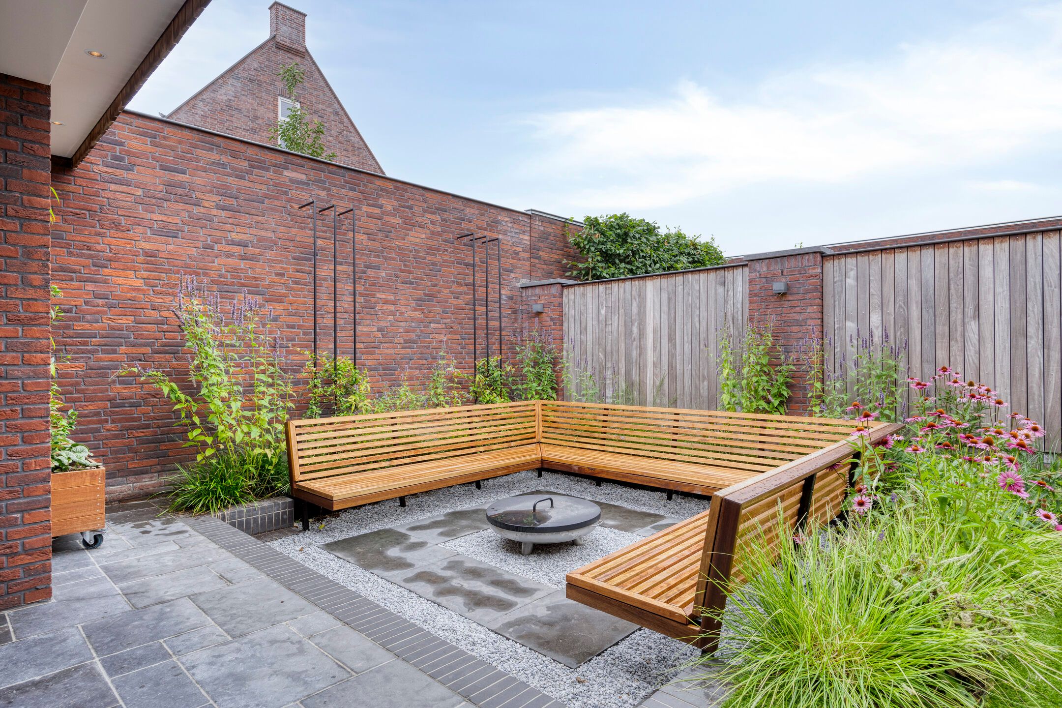 Foto 42 van Lavendel 1