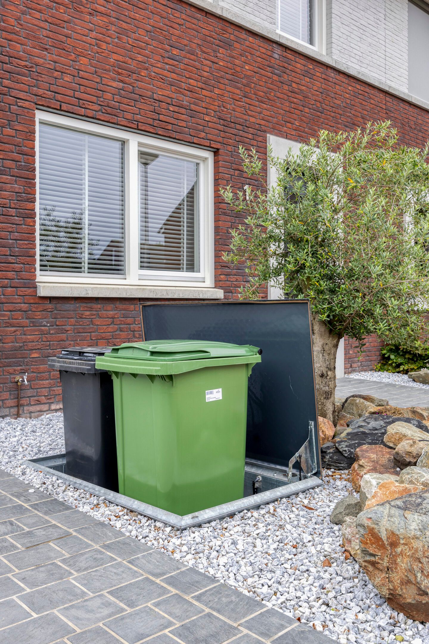 Foto 48 van Lavendel 1