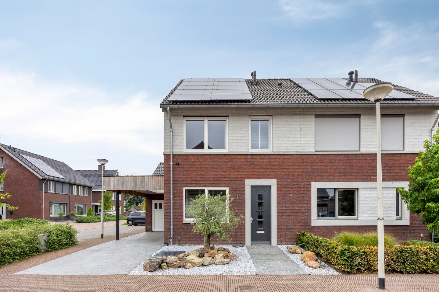 Foto 50 van Lavendel 1