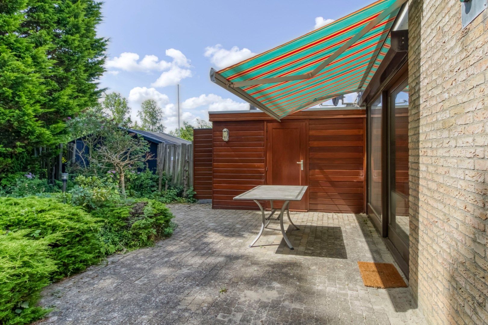 Foto 3 van Liguster 87