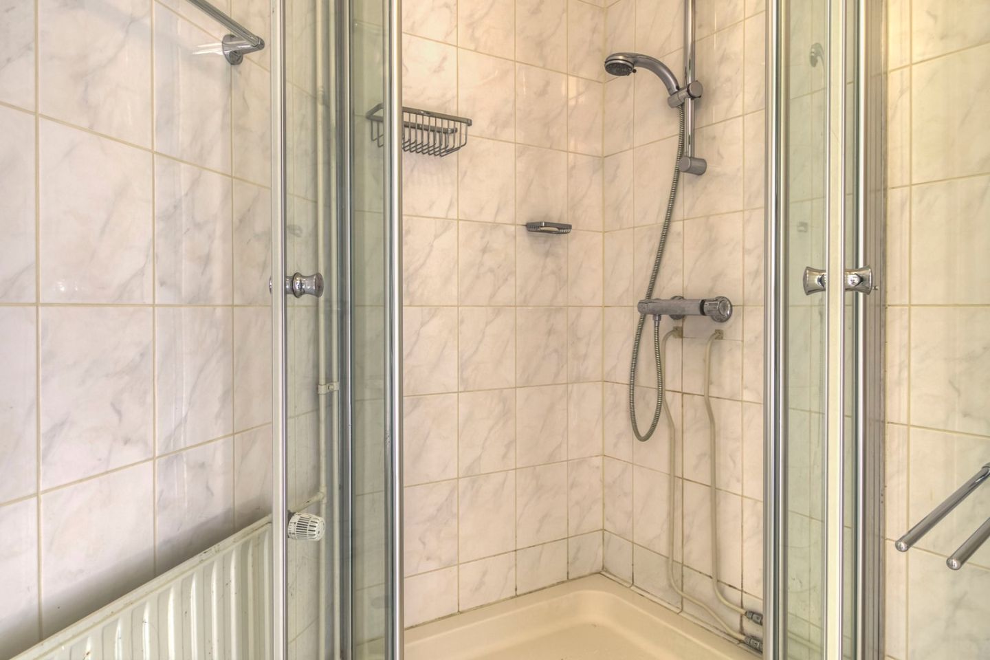 Foto 25 van Liguster 87