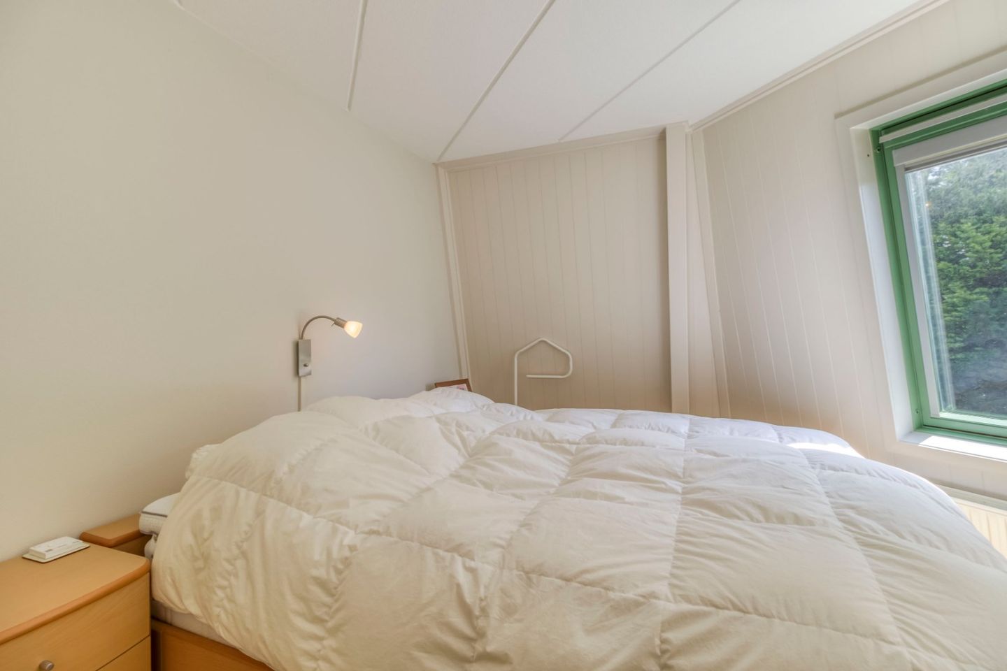 Foto 35 van Liguster 87