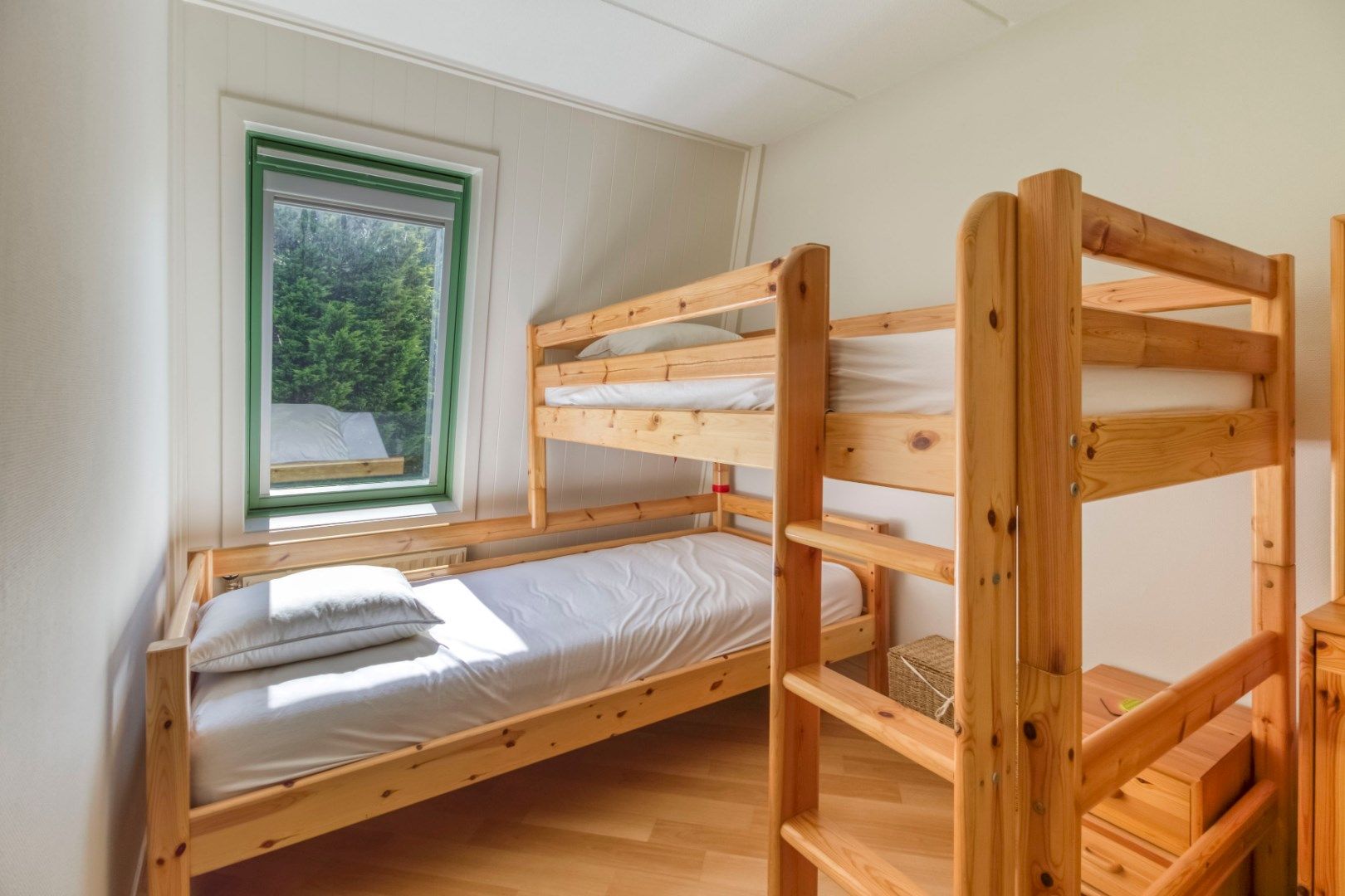 Foto 39 van Liguster 87