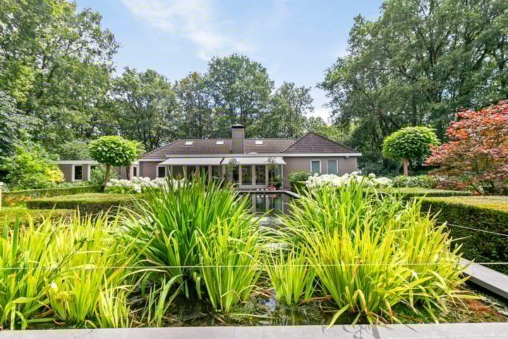 Photo 31 of Boksheide 32