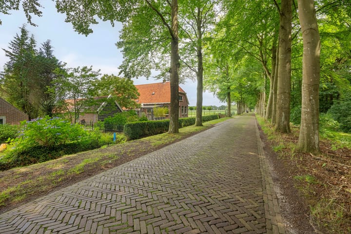 Foto 59 van Westvierdeparten 19