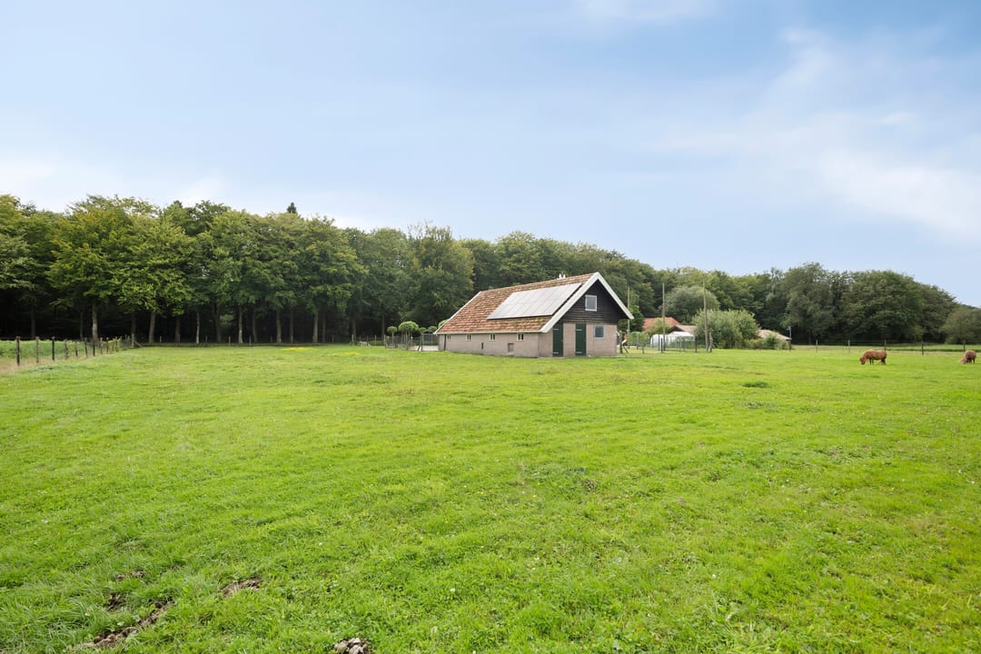 Foto 62 van Westvierdeparten 19