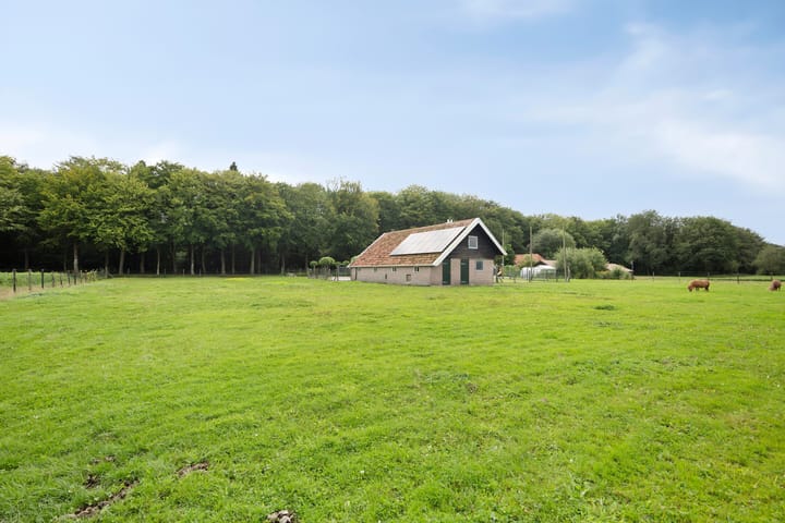 Foto 62 van Westvierdeparten 19