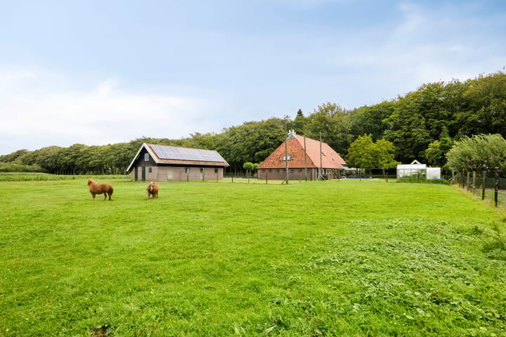 Foto 64 van Westvierdeparten 19