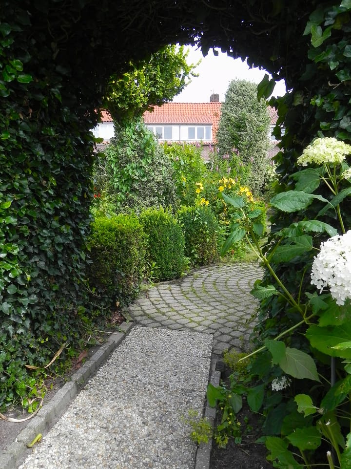 Foto 7 van Kleiweg 31-B