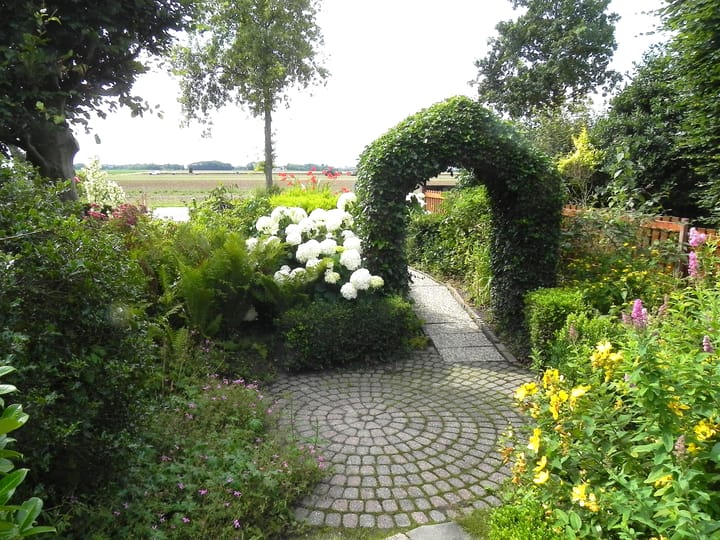 Foto 8 van Kleiweg 31-B