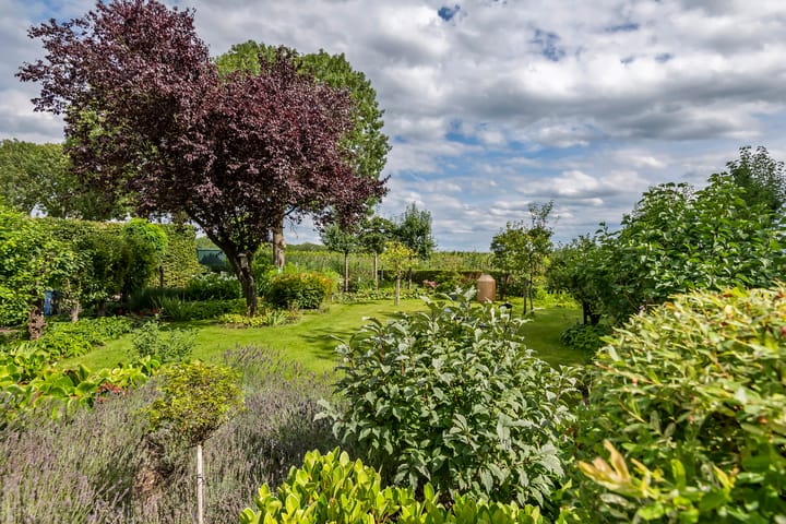 Foto 11 van Zandstraat 21