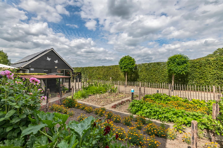 Foto 12 van Zandstraat 21