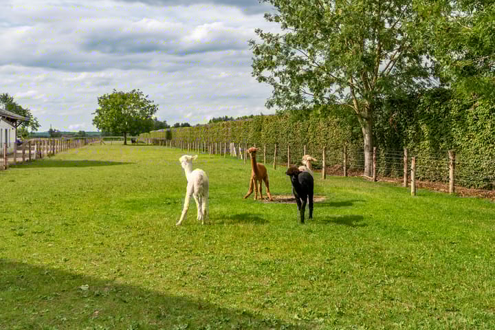 Foto 33 van Zandstraat 21