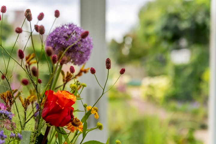 Foto 60 van Zandstraat 21