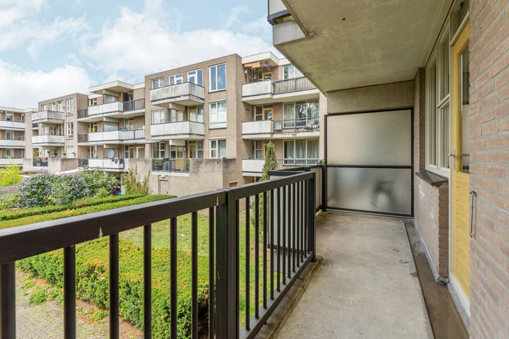 Foto 9 van Wamelplein 169