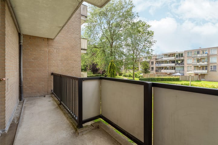 Foto 10 van Wamelplein 169