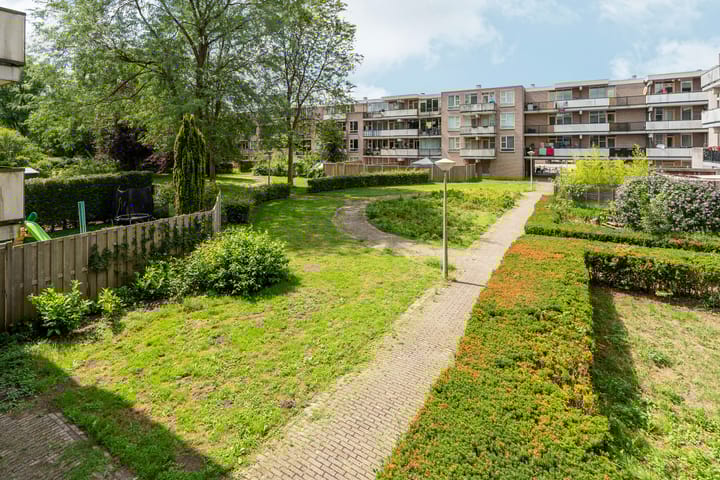 Foto 11 van Wamelplein 169