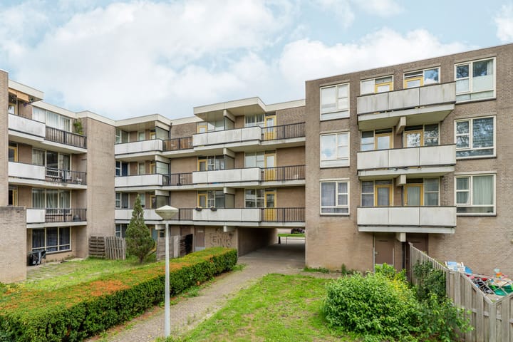 Foto 20 van Wamelplein 169