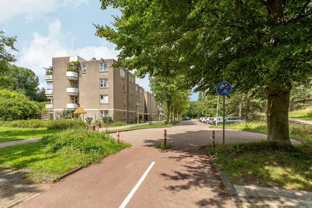 Foto 22 van Wamelplein 169