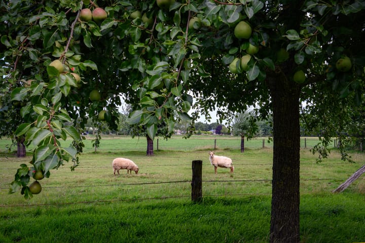 Photo 7 of Binnenweg 3