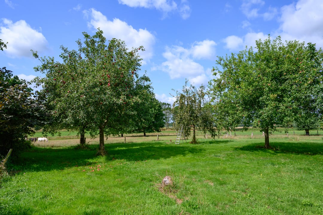 Photo 8 of Binnenweg 3