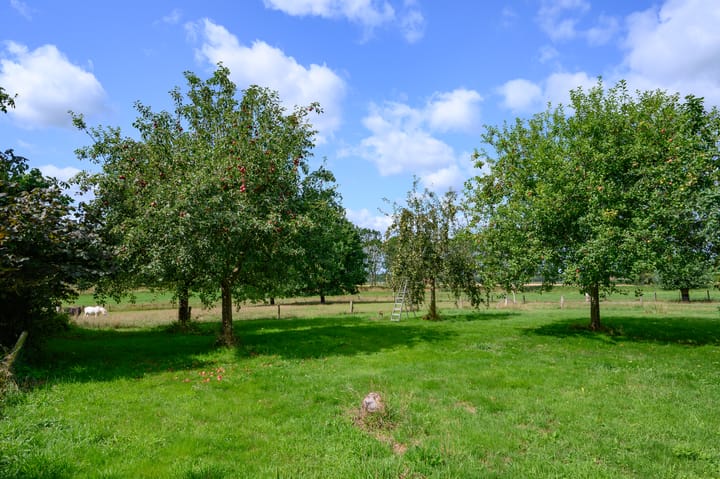 Photo 8 of Binnenweg 3