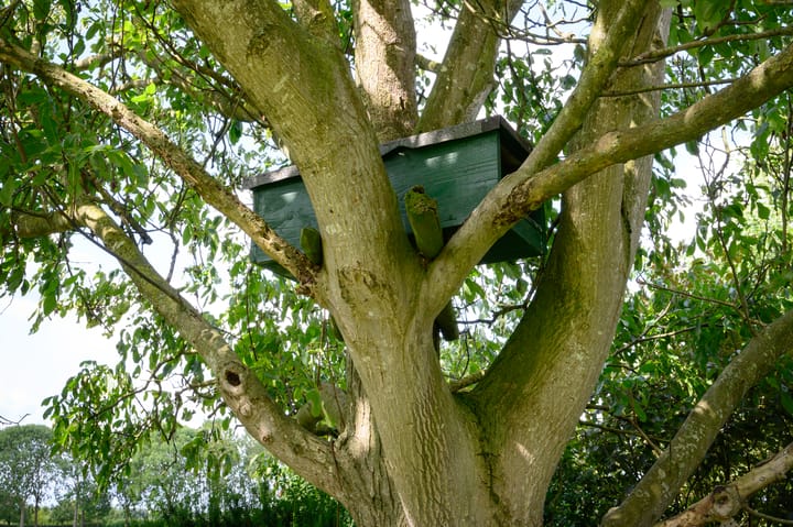 Photo 34 of Binnenweg 3