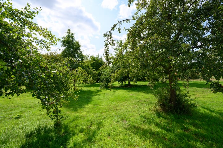 Photo 36 of Binnenweg 3