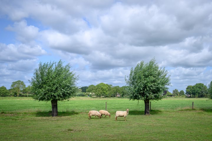 Photo 37 of Binnenweg 3