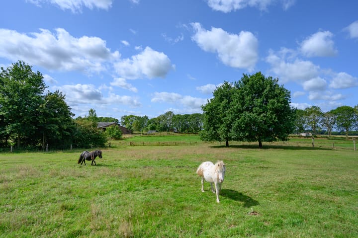 Photo 38 of Binnenweg 3