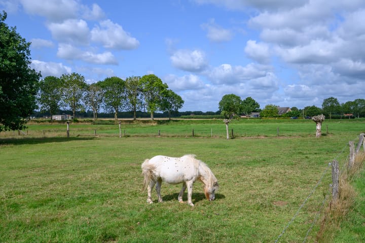 Photo 39 of Binnenweg 3