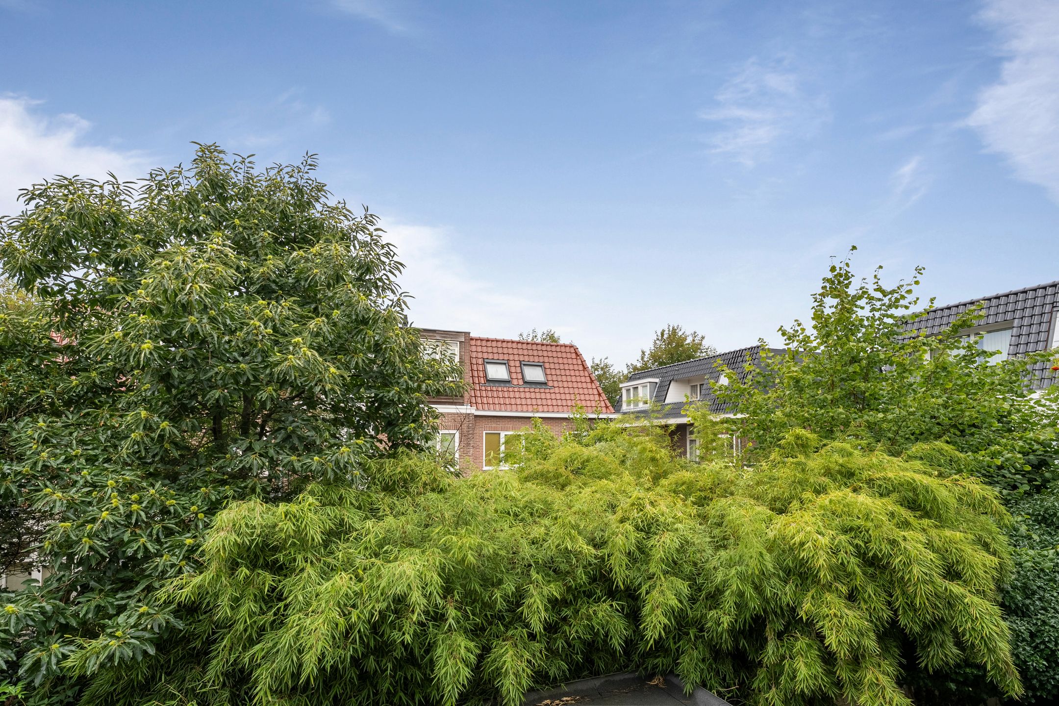 Photo 18 of Esschilderstraat 34-RD